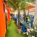 머슬비치짐 휘트니스 이미지