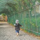 휴먼시아3단지아파트 이미지