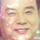 다미락 이미지