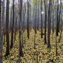 수종목장 이미지