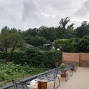 33에이커 이미지