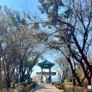 맥아더 | 인천 가볼만한곳 자유공원 맥아더장군 동상, 차이나타운 볼거리