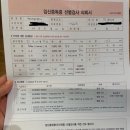 4. [12주 3일차] 1차 기형아 검사 &amp; 임신중독증 선별검사 후기