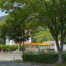 해바라기주유소 | 대구 꽃구경 데이트 코스 논공꽃단지 해바라기 나들이 가볼만한곳