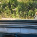 메딕프로코리아 이미지