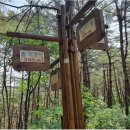 ***돌산악회 제204차 단양 겸암산(865m)산행 (온달산성) 2023년9월10일*** 이미지