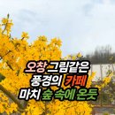 청원꽃식물원 이미지