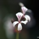 율동생태학습원 이미지