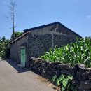 하천리-3 이미지