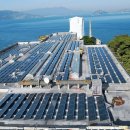 유기 태양광발전소 이미지