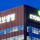 교보생명 이미지