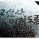 꽃님이 이미지