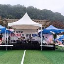 양양읍민 한마당 큰잔치 | 칠원읍 경로잔치 및 읍민 체육대회(2024)