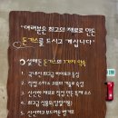 설해돈 | 대전 샐러드돈까스 맛집 설해돈 솔직후기