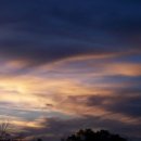 슈가(SUGAR) 이미지