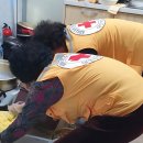 한진1리 이미지