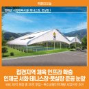 인제테니스장 이미지