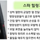 포레스파헤어