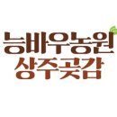 상주청정곶감농원