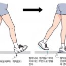 호수피드 이미지