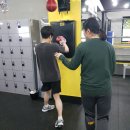 메이저 짐 이미지