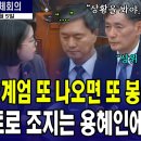 와 용혜인 의원 말 개잘해 이미지