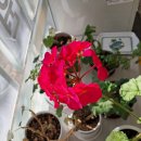 옥계남로-5 이미지