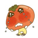 망고튤립