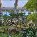 환호동 환호어린이 작은도서관 | 포항 환호공원 식물원 환호동 산책하기 딱 좋은 코스 방문 솔직후기, 주말 주차, 입장료