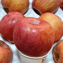 [ 판매종료 ] 맛있는 충주 사과(루돌프 사과) 선물하세요. 이미지