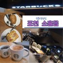 디자인수목원 | 남양주 야경 카페 추천 🌙 스타벅스 광릉수목원점 방문 후기