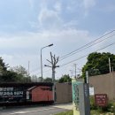 용산기지 옛 미군장교숙소(현 용산공원) | 서울 나들이 갈만한곳 용산공원 미군기지 장교숙소 5단지 기대만큼 좋았다 😎
