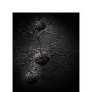 만경초등학교 이미지