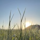 임실치즈두마리목장 이미지