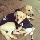 여아농장 이미지