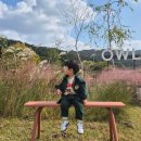 월전로 | <김제 금구 아울 카페> 예쁜 포토존이 있는, 아이와가기 좋은 카페 추천, 애견 동반 가능한 카페!