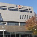 한국바른체형연구소 이미지