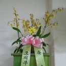 오치부부한의원 이미지