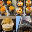 (주)세라젬 대전중앙로점 | [대전 성심당 케익 부띠끄] 11월 케이크 종류 가격, 요키요키 생귤롤 후기, 주차 가능
