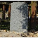 상만리 비자나무 이미지