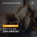 광명 24 아이디동물의료센터 이미지