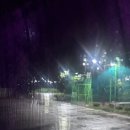 Skinny love of rain 이미지