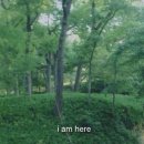 오늘의위로