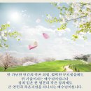 사랑으로 이미지