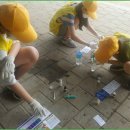 대전신계초등학교 이미지