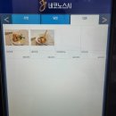 네코노스시