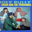 Woolv Bullv / Sam The Sham & The Pharaohs 이미지