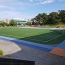 제주대학교교육대학부설초등학교 이미지