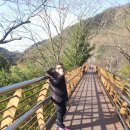 만인산 이미지