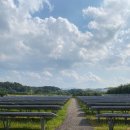 세정태양광발전소 이미지